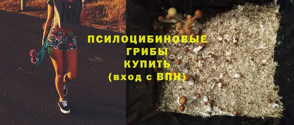 ALPHA PVP Белокуриха